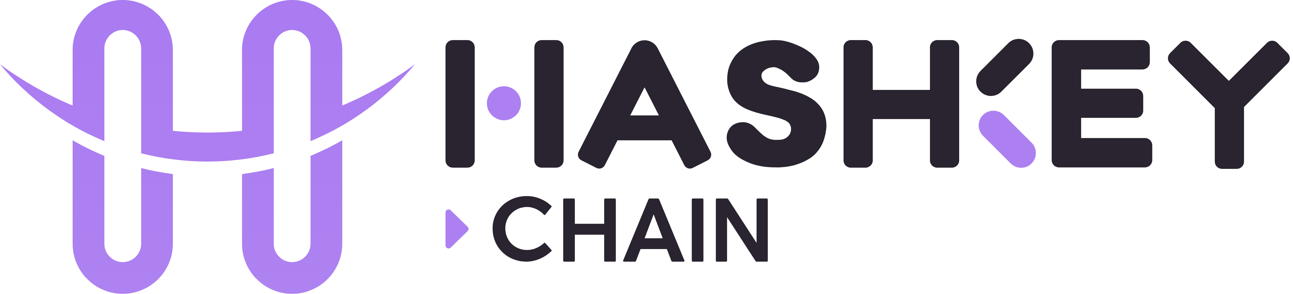 HashKey Chain Chain-æ ̈a-é»å