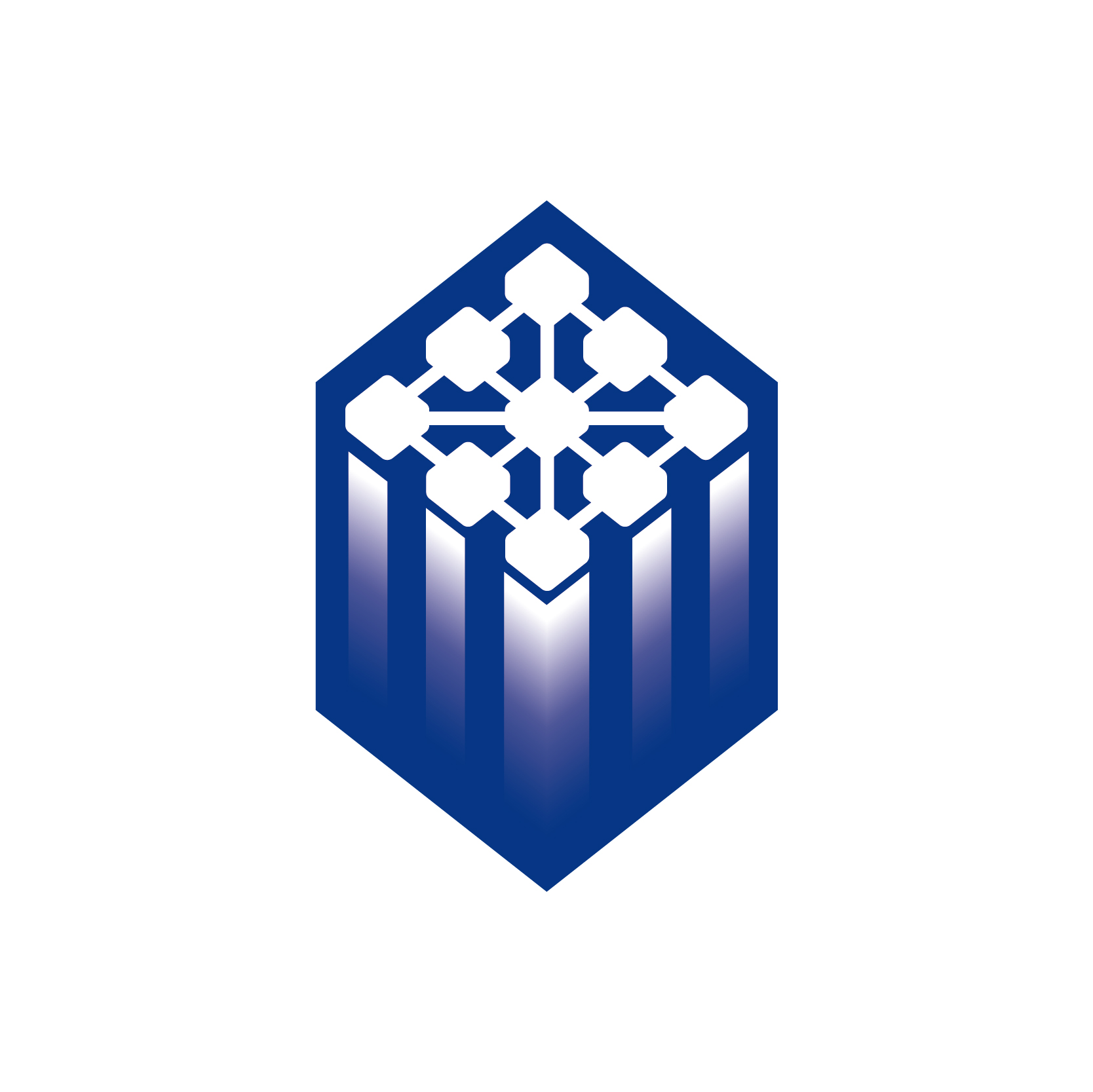 深技大链协 logo