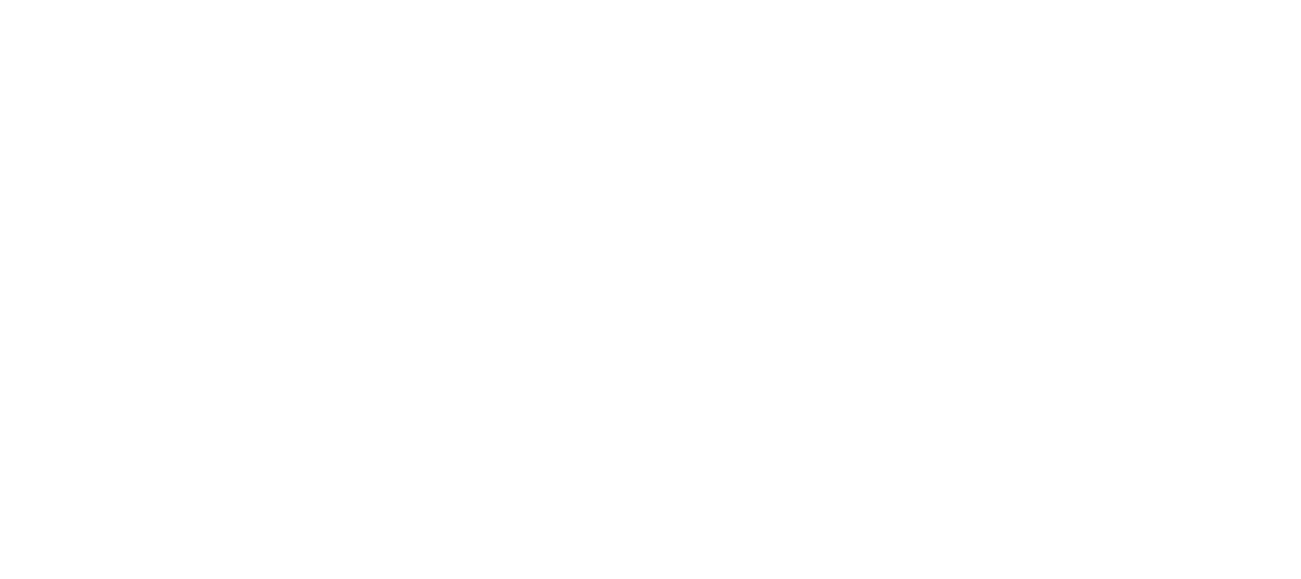 Web3BuidlerTech logo_white (1)